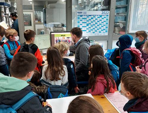 Die Wölfe bei Baier