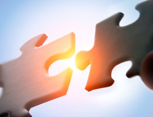 Wir werden zur „Baier GmbH“