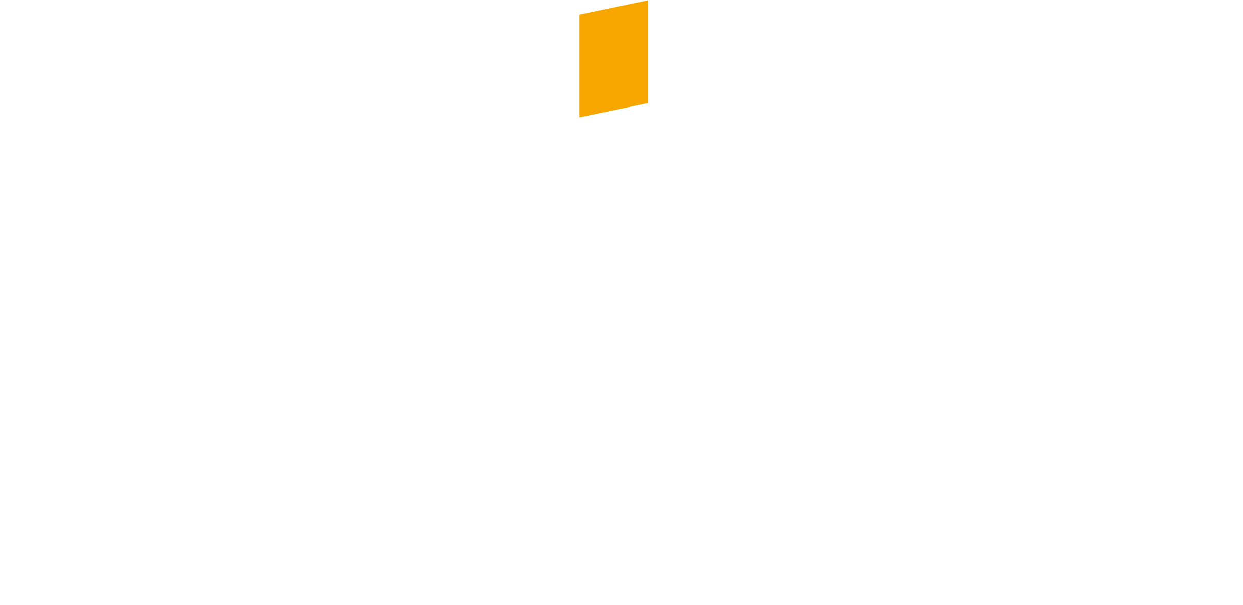 BAIERzs_Logo_white